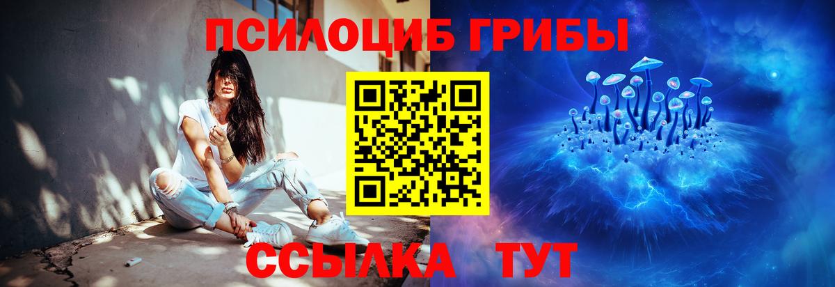 Псилоцибиновые грибы MAGIC MUSHROOMS Гурьевск