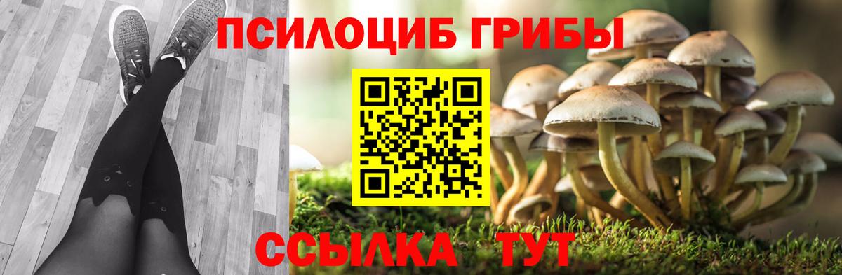 наркошоп  Галлюциногенные грибы прущие грибы  Псилоцибиновые грибы Psilocybine cubensis  Вход с VPN  Гурьевск 